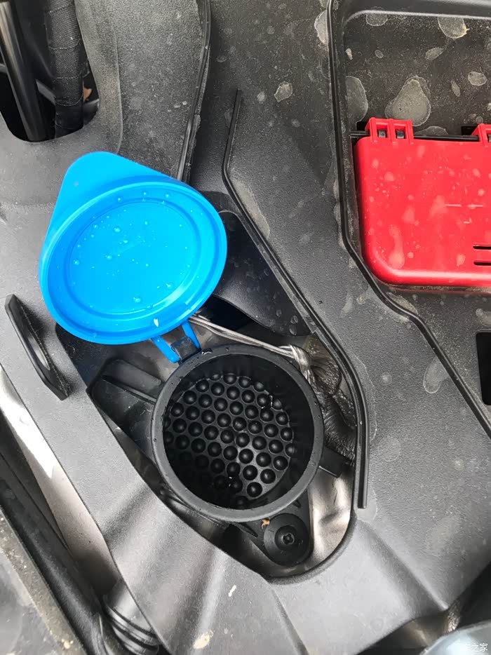 宝马3系论坛_汽车之家论坛