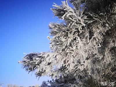 【萬物復甦送福利】霧凇之都冰雪情!(一)