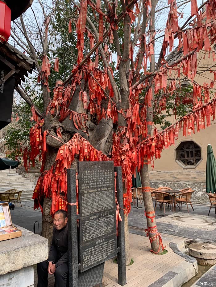 一棵老的神树,上面挂满了红色祈福带