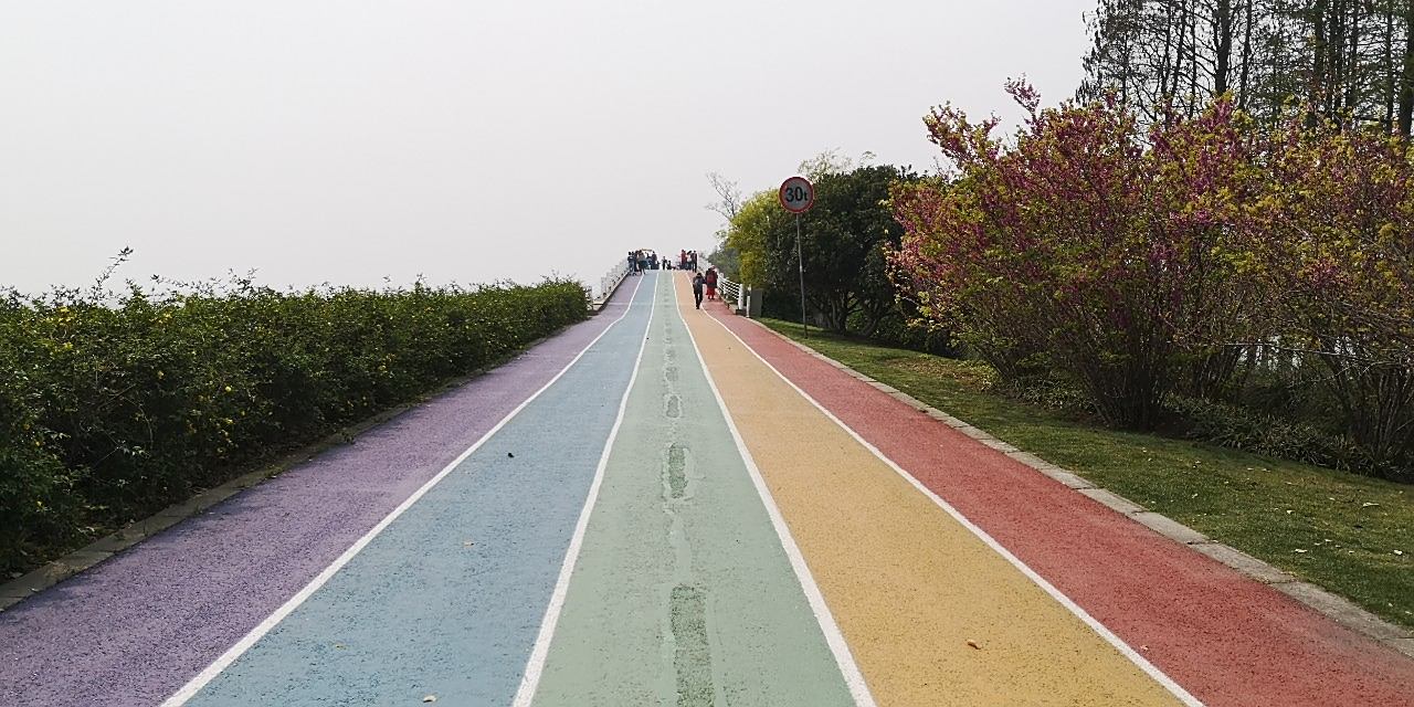 蟠龙山彩虹步道图片