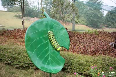 蝴蝶小时候是不漂亮的,刚孵化出来的是毛毛虫.