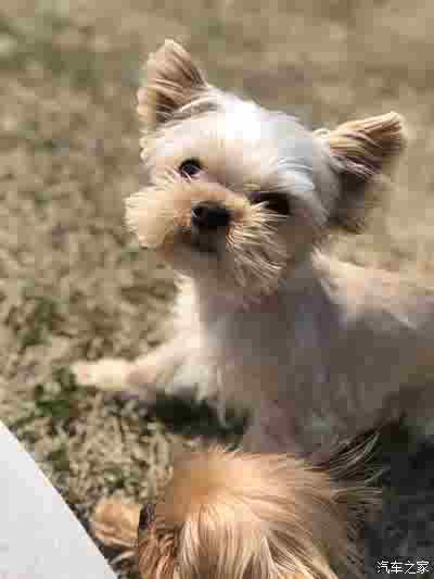 不辜负好时光啦!