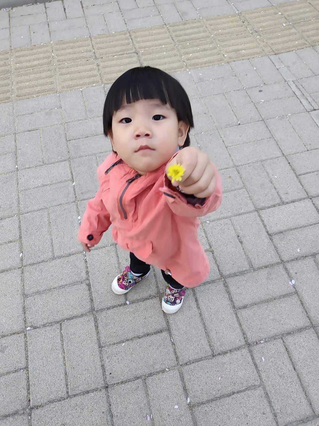 最暖心的陪伴始终都是你