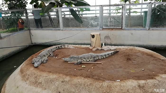 定州动物园一日游(有小二的日子)
