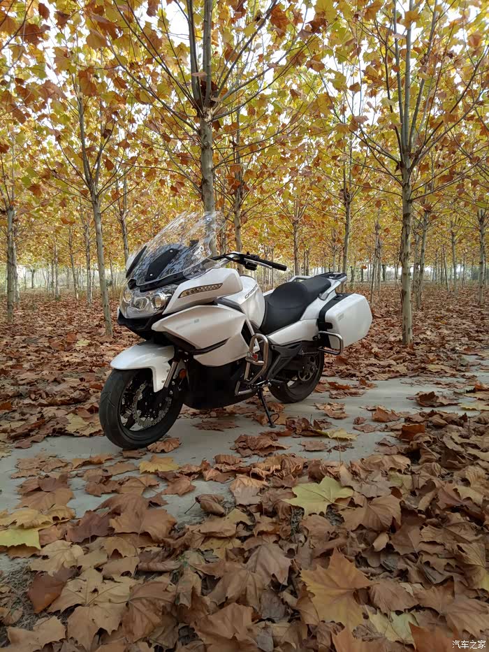 深秋摩托车黄叶骑士林间小道