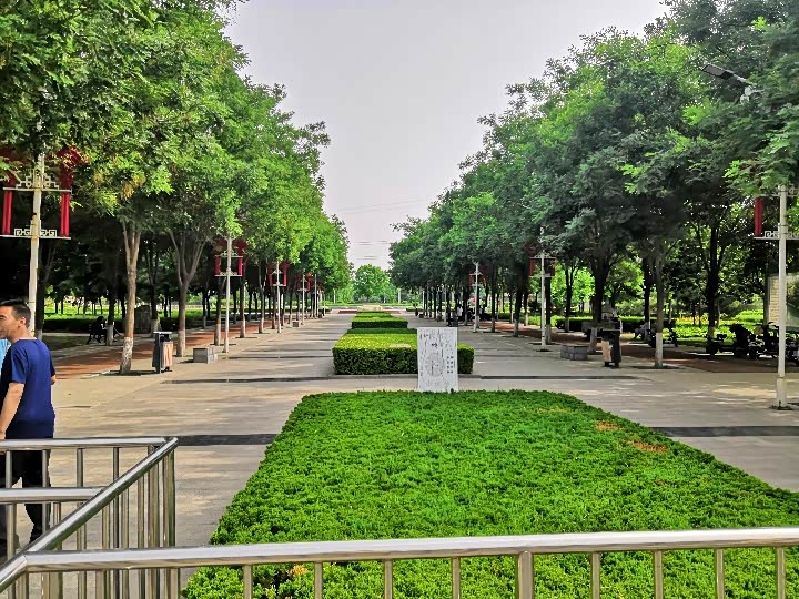 周末游安国植物园