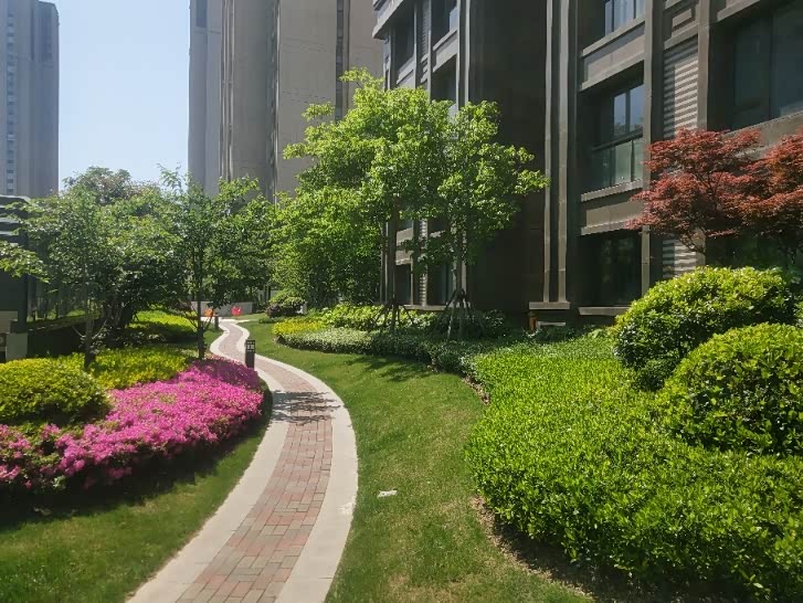 天气好随便拍拍楼下风景