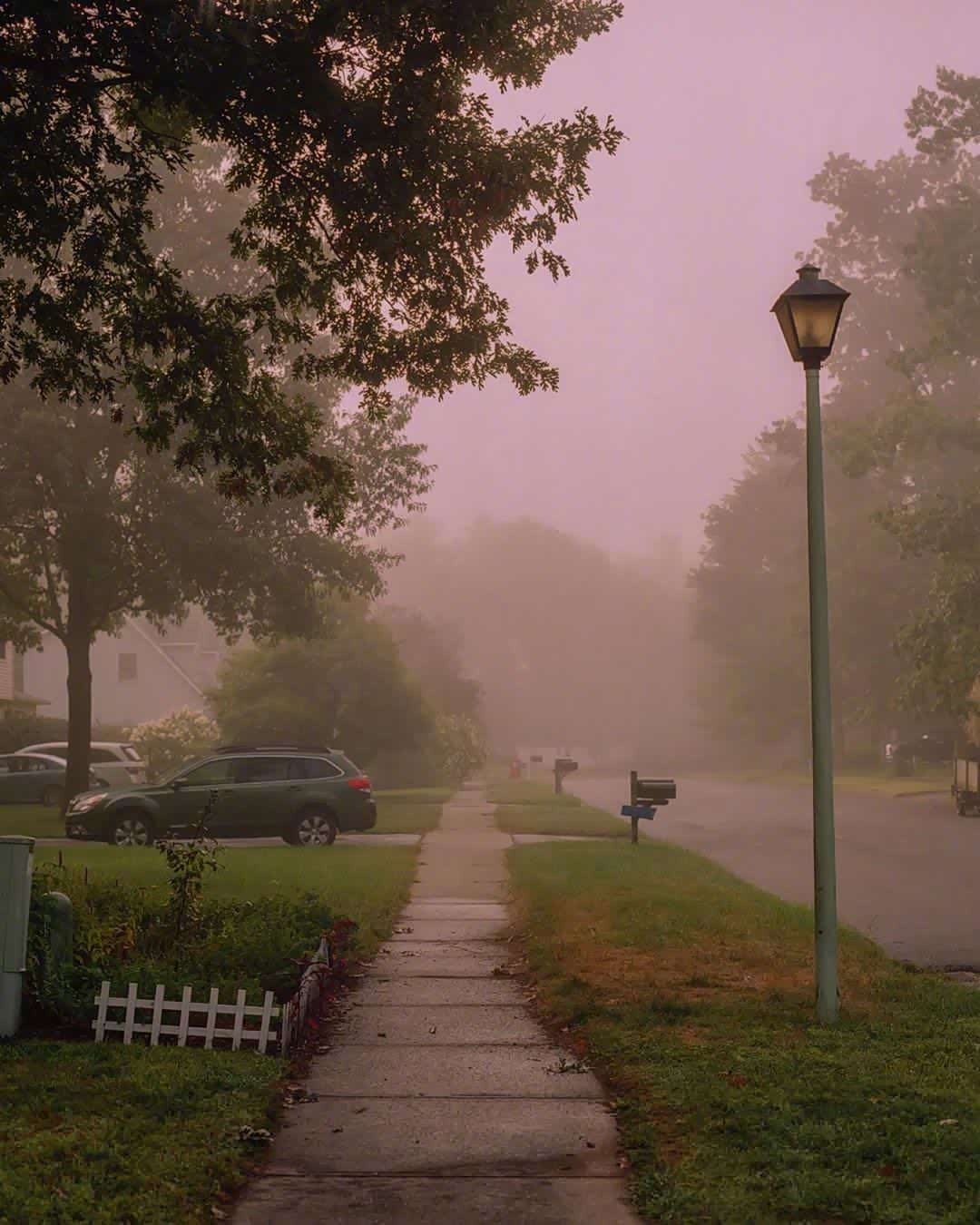 图 夏秋交接·清晨时的最美意境!