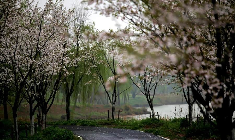 一城山水秀江南,水墨丹青杏花村