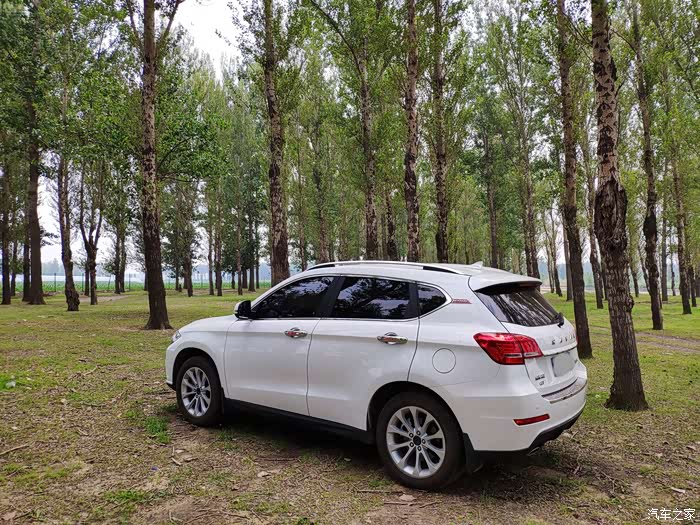 树林里没有想像那么难走