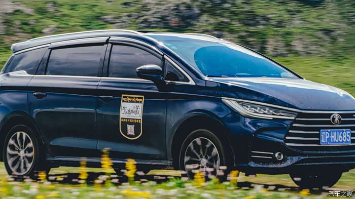 带着max去西藏之在毛垭大草原上尽情奔驰的宋max