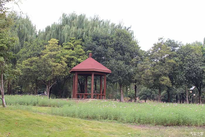 【无锡长安suv联盟】洛城公园游玩记