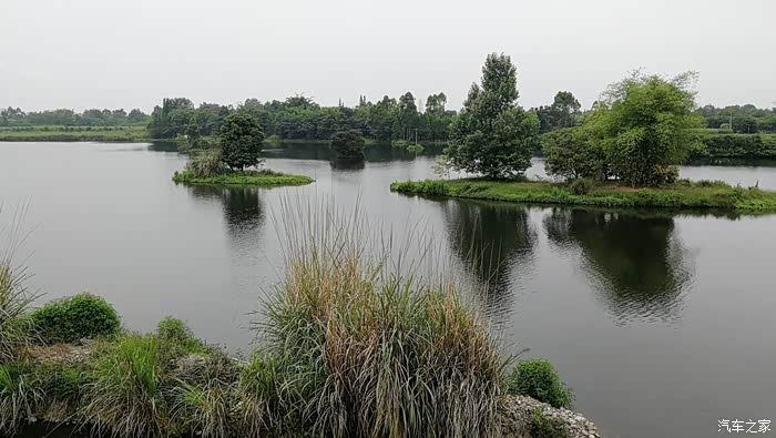 湿地公园很多这样的湖中小岛,如果能到岛上去那就更有意思了