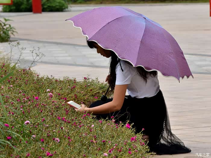 深圳长安车友会258邱成全之巧遇书香公园