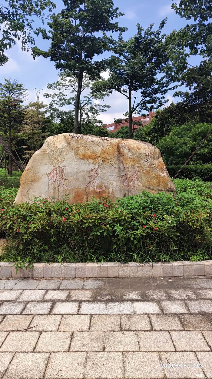 开着小嘉游榴花公园