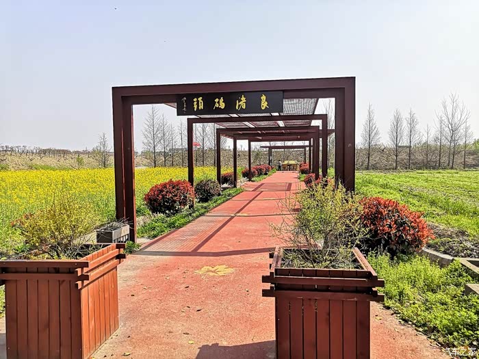 奉贤花米庄行菜花节