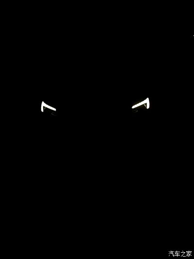 图 黑夜里的眼睛