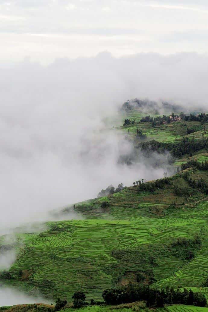 细雨清晨润绿田,不问人间扰扰缘.