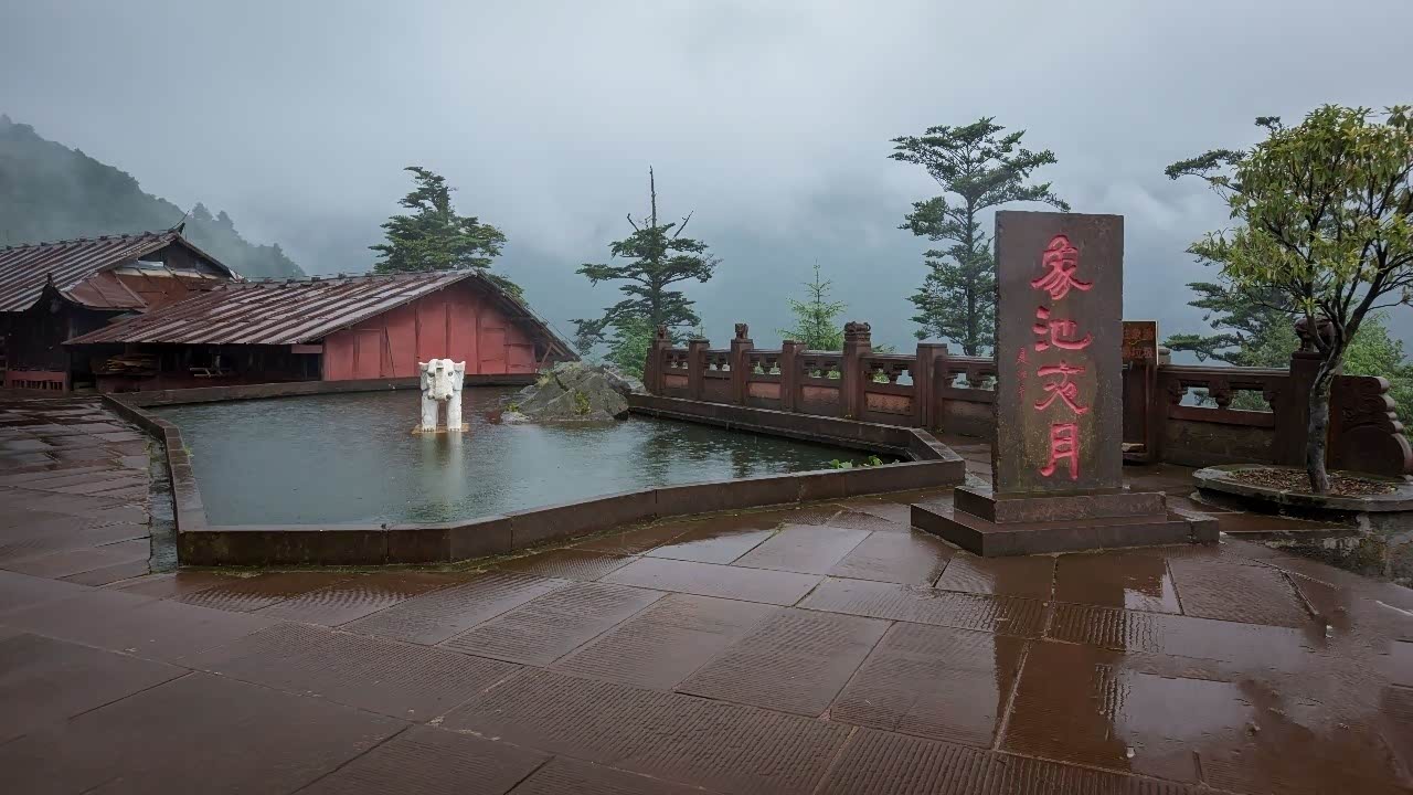 找个舒适的小店挑张雅致的明信片送给中意的ta