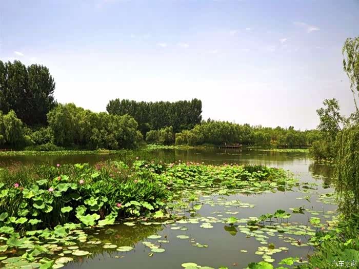 吉林市长安车友会大75陪我赏吉林绿洲湿地公园