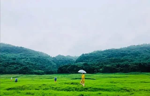 重庆户外大草原,南平坝风景.
