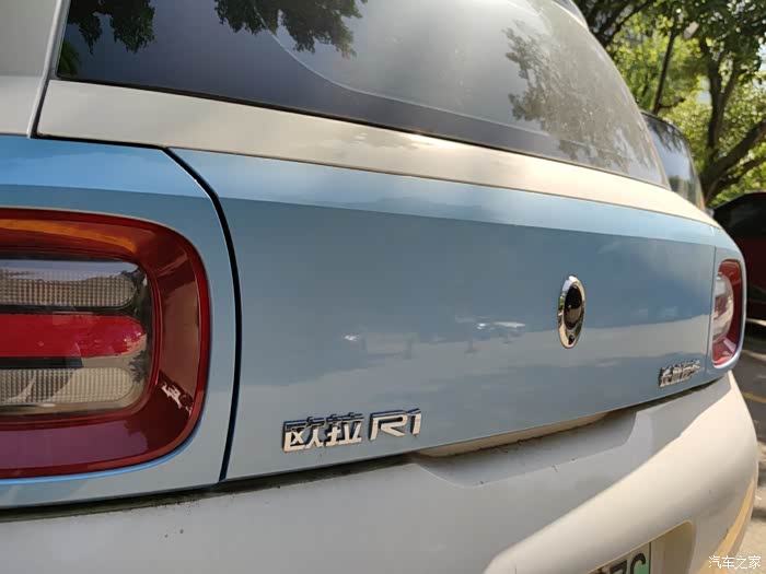 欧拉白猫与黑猫的外观对比