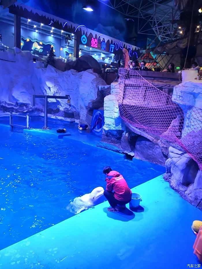 工作旅游两不误,青岛极地馆一日游