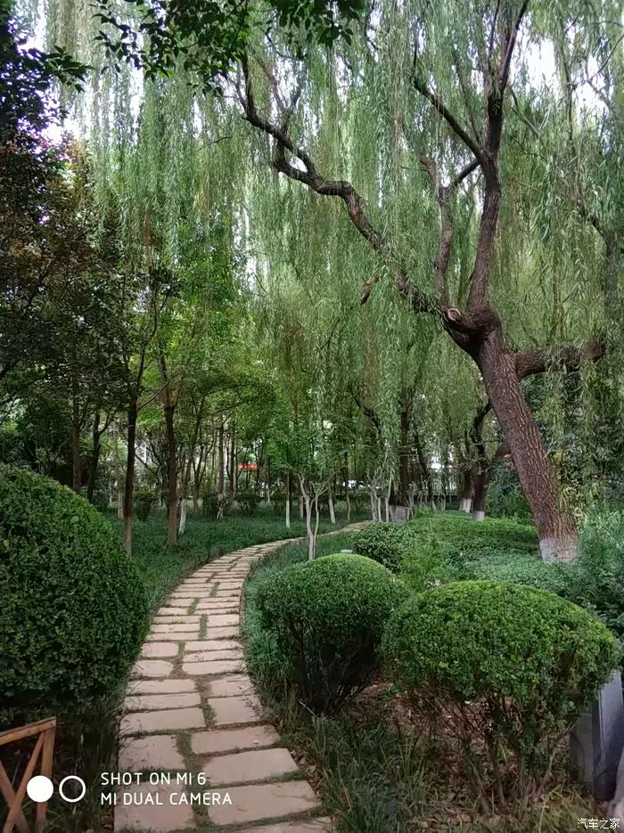 且向波间看玉亭趵突泉