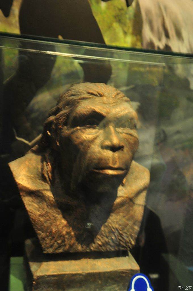 最早人类, 蓝田猿人,距今已有110万年