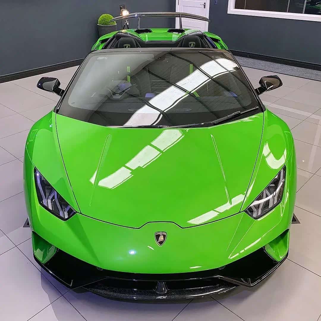 被绿色元素环绕的兰博基尼