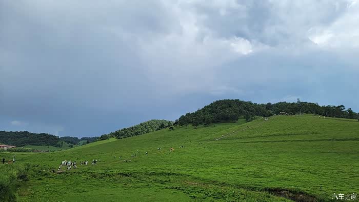 大途伴我千里游大美关山牧场草原