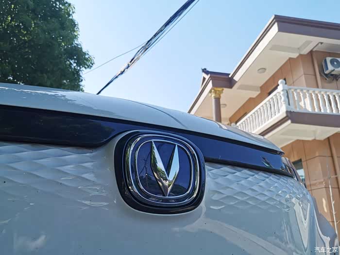 炙热端午,和大白潇潇洒洒的一天.