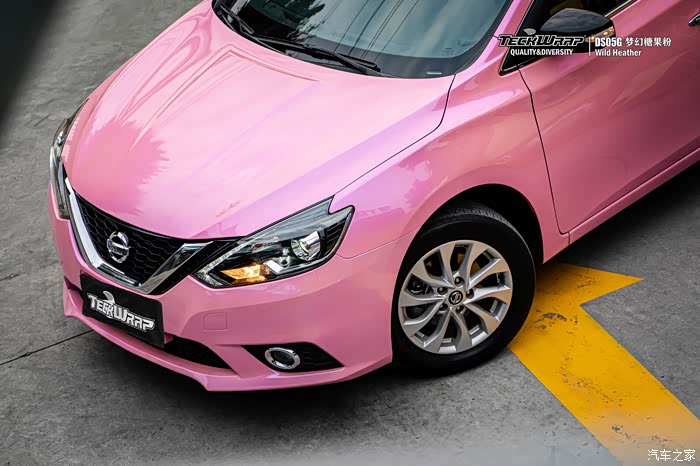 日产轩逸贴膜改色浪漫又温柔秃鹰双色糖果粉