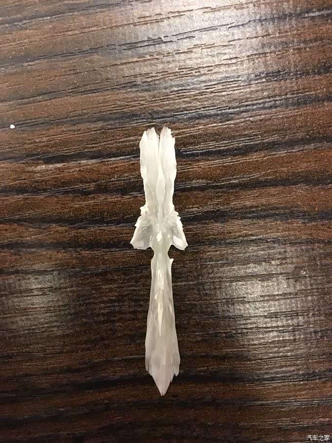 雅鱼头里的小宝剑证明吃到了货真价实的雅鱼……148元斤