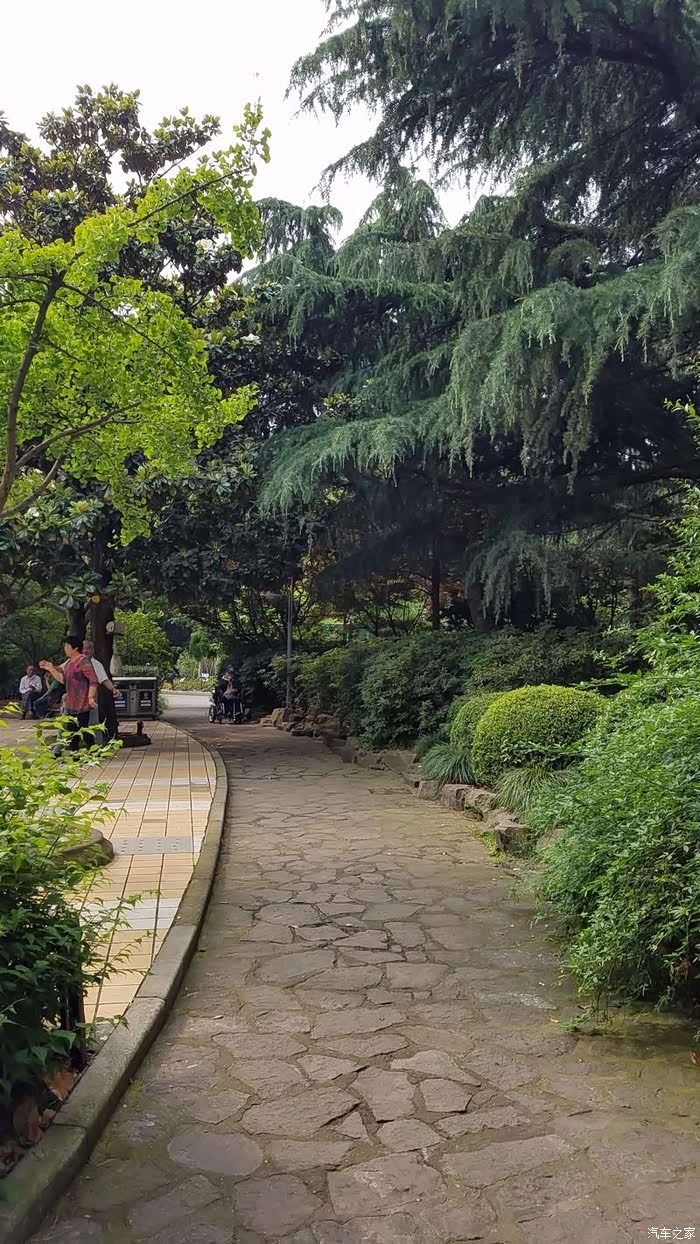 趁着月底带着max来工农公园放松下