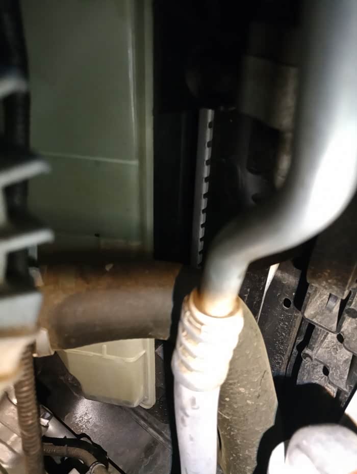 领动防冻液是什么颜色