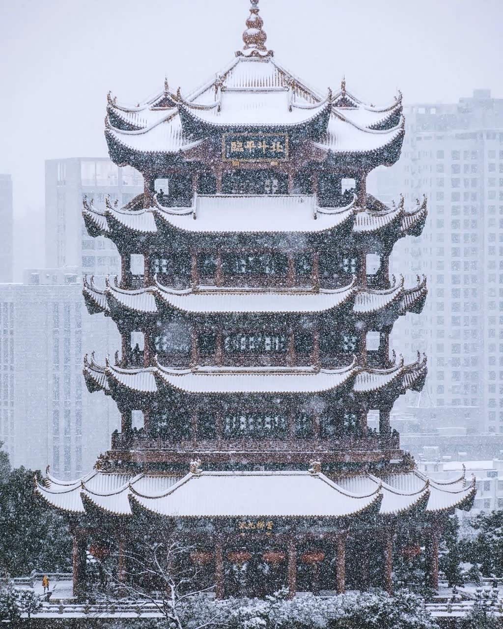 雪中的武大和黄鹤楼好美