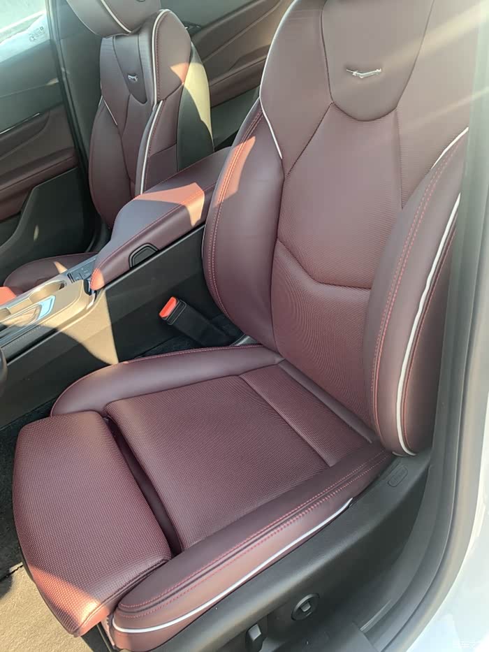 2021款尊贵,内饰都是浆果色?