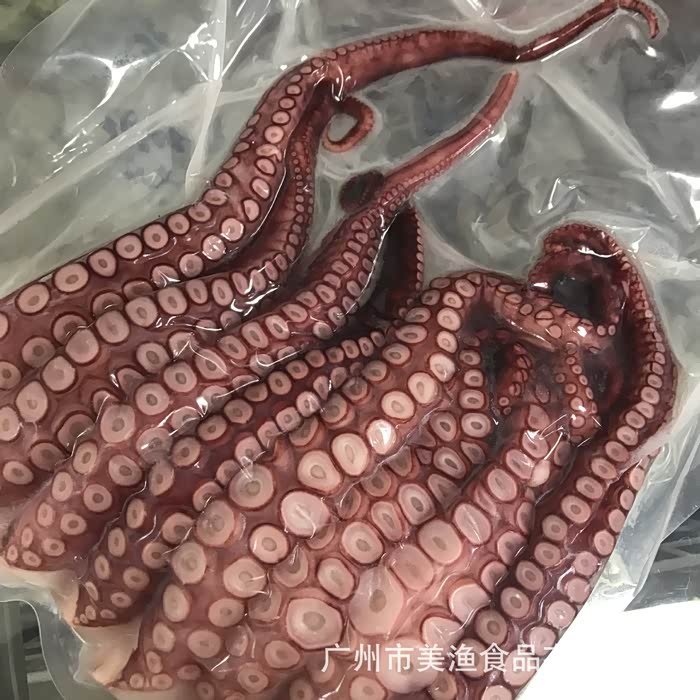 有点像章鱼吸盘啊,不过是长方形的