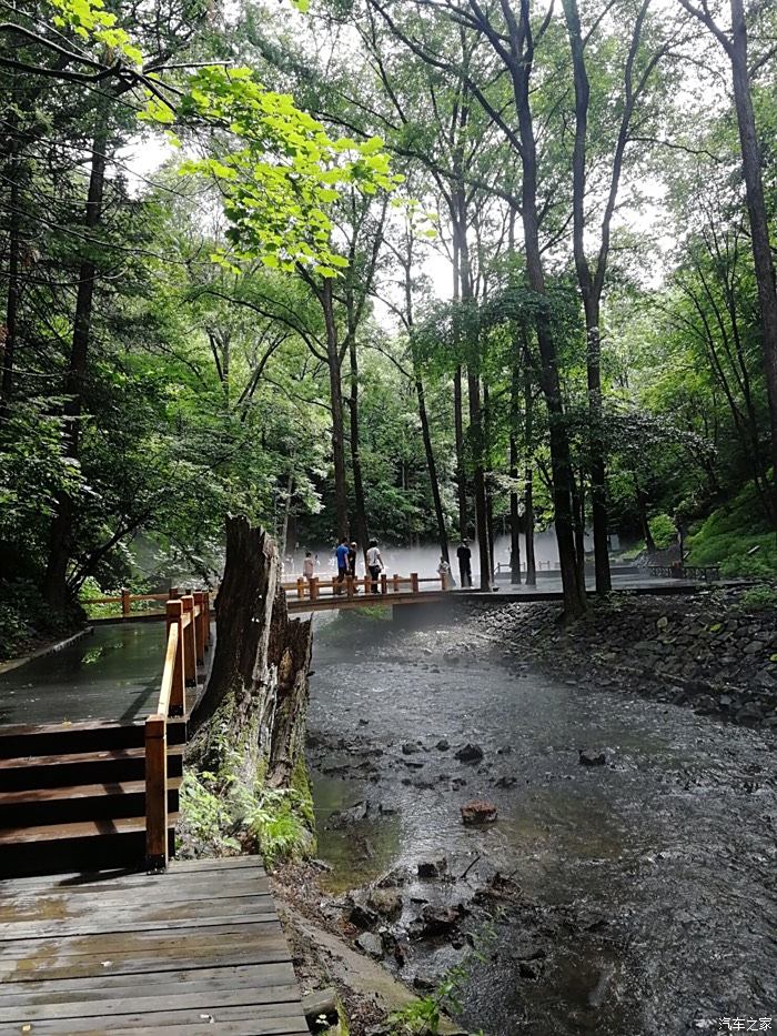 自駕暢遊龍灣群國家森林公園