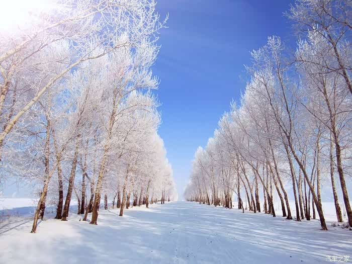 白色世界的温暖瑞风s7出行给在雪地里撒欢的女儿拍写真
