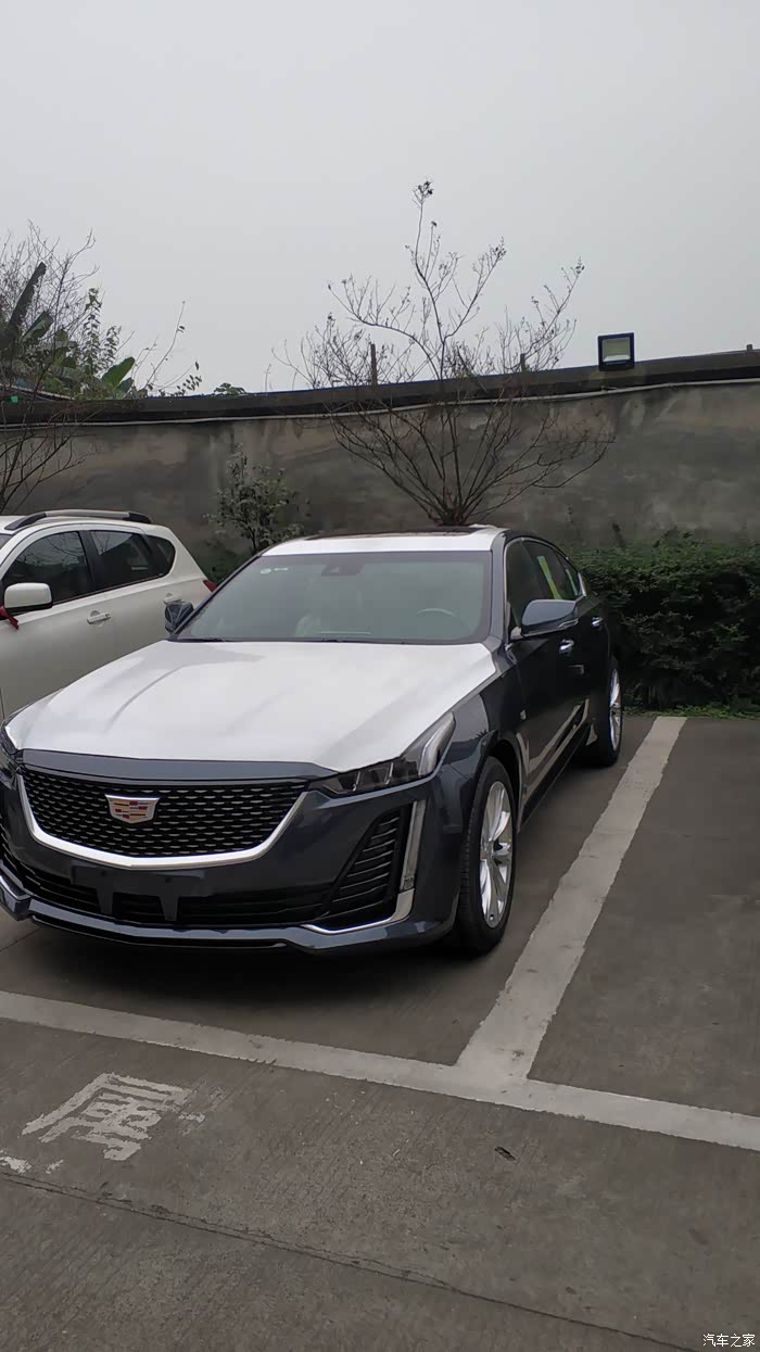 3559 | 回复: 17 凯迪拉克ct5论坛 我怎么感觉豪华版比运动版的前脸