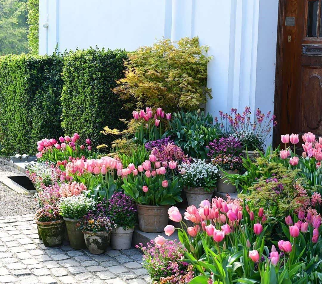 claus dalby的盆栽前庭花园,这样的花园你会喜欢吗?