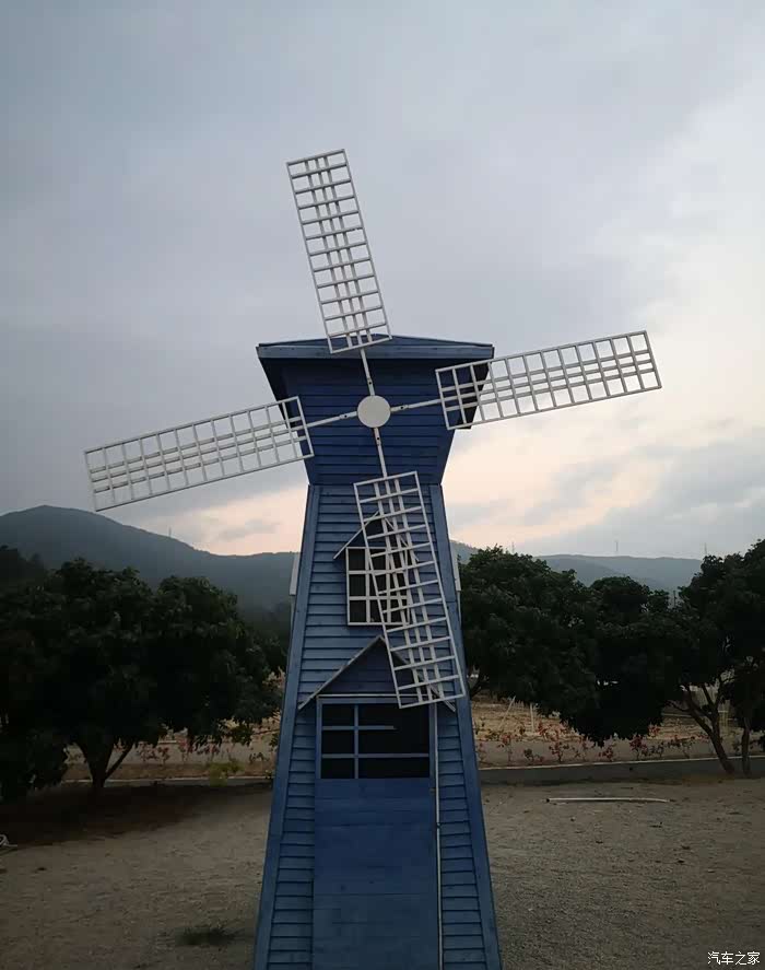 冷杉秋长花海影视基地