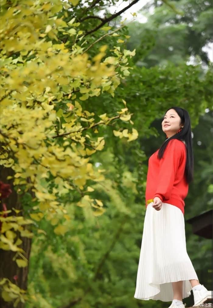 枯黄落叶,一片,两片,轻悠悠地飘落在水面上,像无数只小船,顺风慢慢地