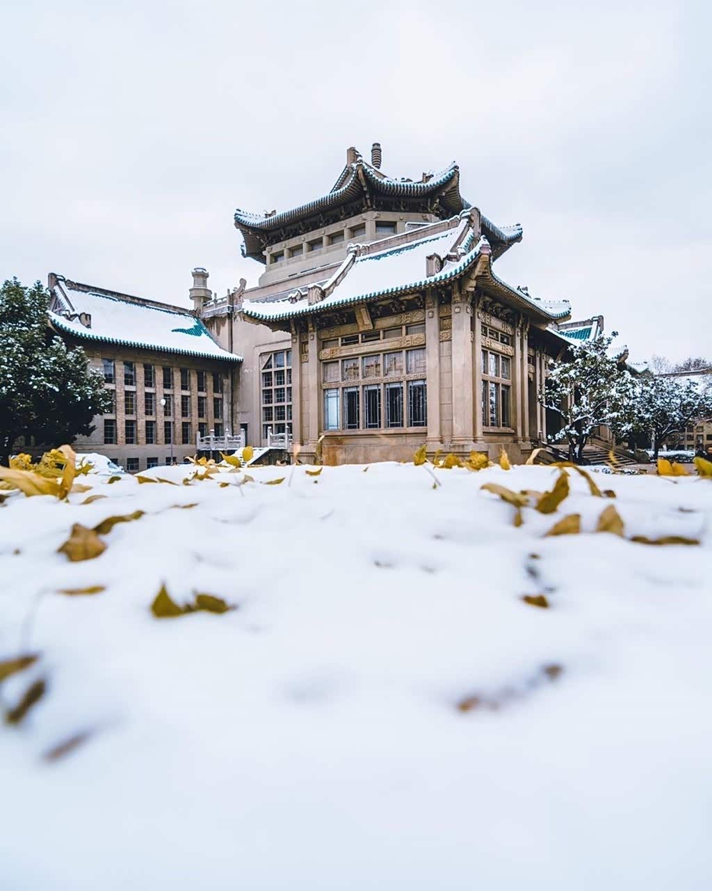 雪中的武大和黄鹤楼好美