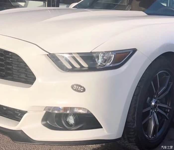 【图】有人知道保险杠上这个dync是啥意思吗_mustang论坛_汽车之家