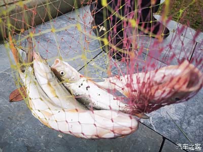 脚踩在沙子里这时才发现原来沙子挺热炽热沙砾包裹我脚还没有等我抬起