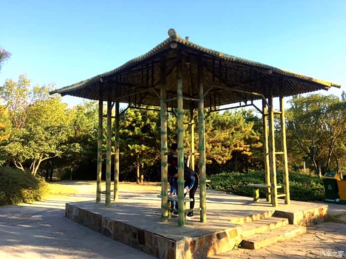 秋之韵周末与小wey游孙禄堂森林公园