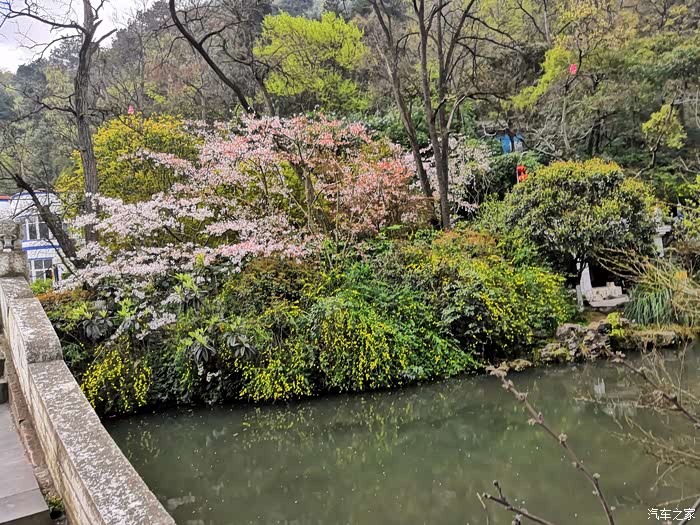 春天里的黔灵山公园
